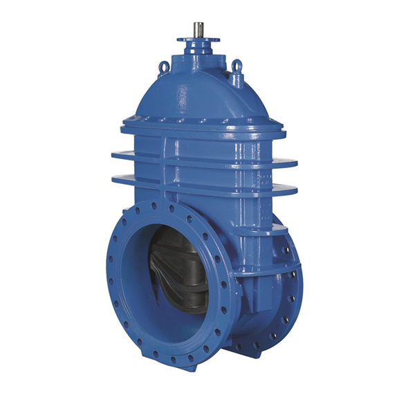 CBT3955-2004 Cast Iron flanged gate valve